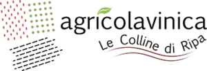 Agricolavinica