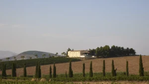 Alessandro di Camporeale