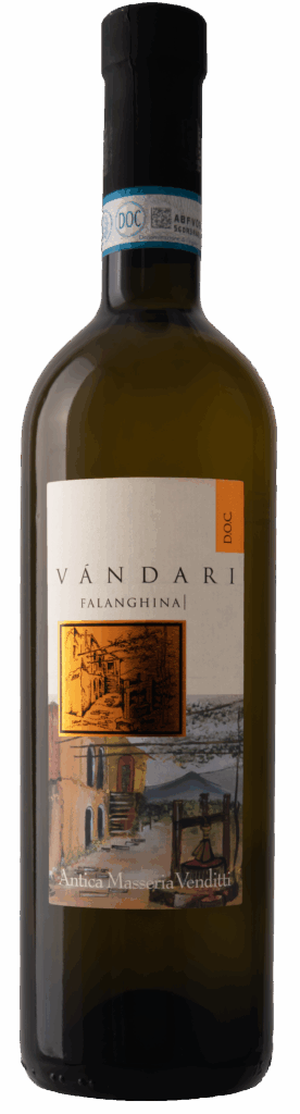 Falanghina del Sannio DOC “Vàndari” 2024