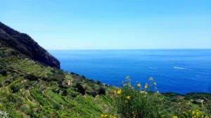 Antiche Cantine Migliaccio
