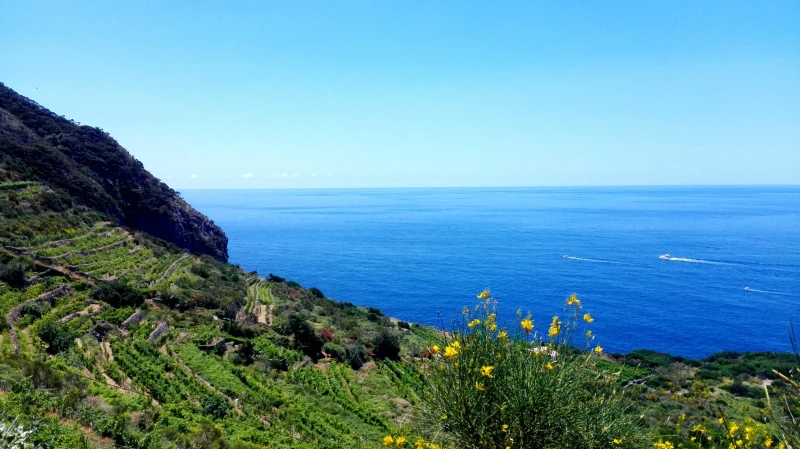 Antiche Cantine Migliaccio