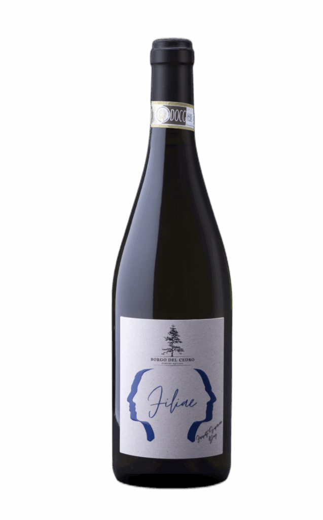 Frascati Superiore DOCG “Filiae” 2023
