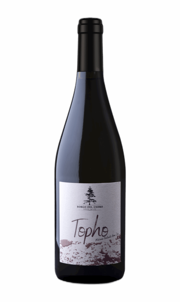 Roma DOC Malvasia Puntinata “Topho” 2023