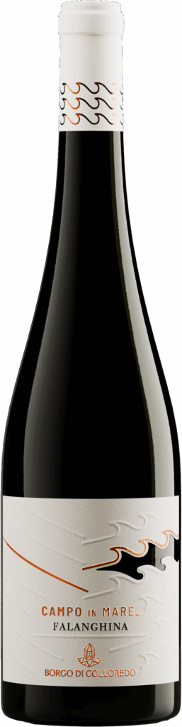Molise DOC Falanghina “Campo In Mare” 2024