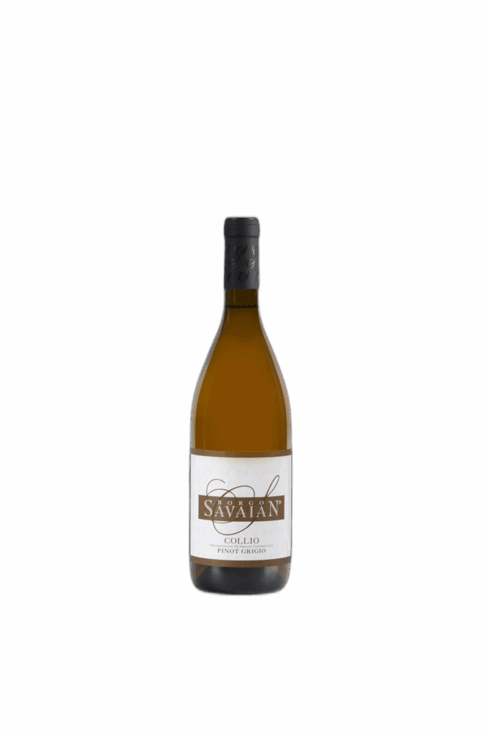 Collio DOC Pinot Grigio 2023