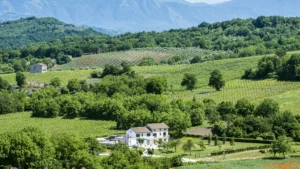 Borgodangelo