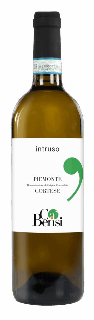 Piemonte DOC Cortese “Intruso” 2024