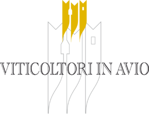 Cantina Di Avio