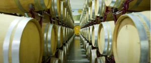 Cantina di Venosa