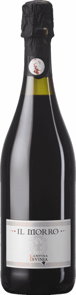 Lambrusco di Modena DOC Spumante Extra Dry “Morro”