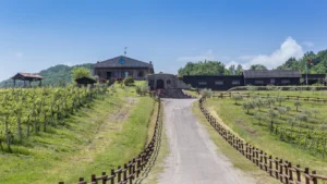 Cantina Il Poggio