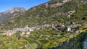 Cantina Produttori Nebbiolo di Carema