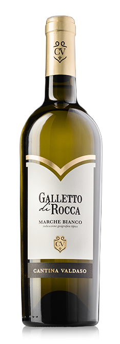 Marche IGT Bianco “Galletto Di Rocca” 2022