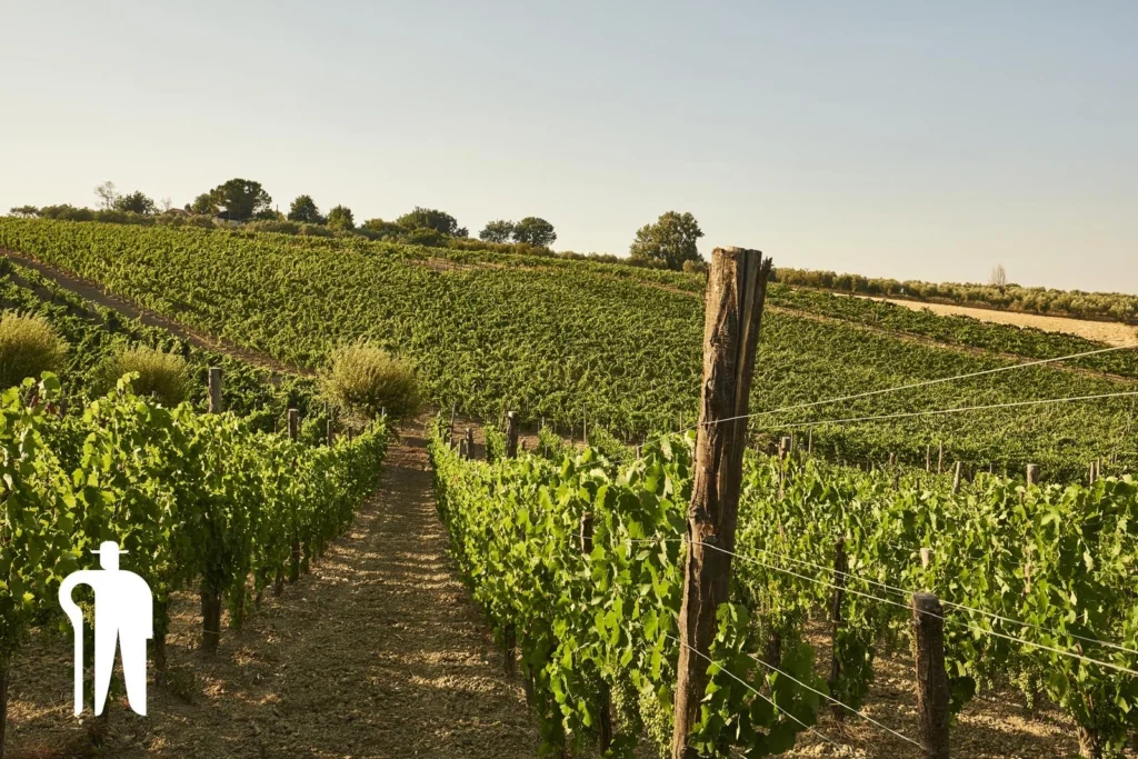 Cantine Buonanno