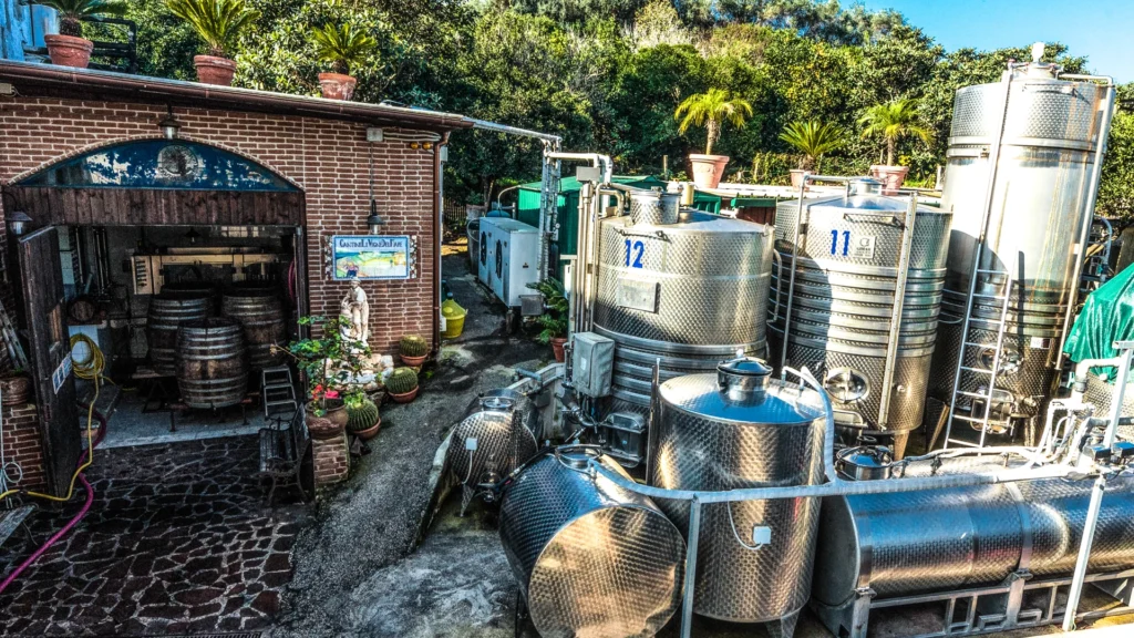 Cantine Del Mare