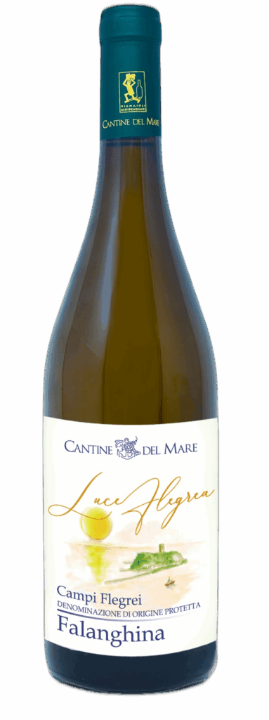 Campi Flegrei DOC Falanghina “Luce Flegrea” 2023