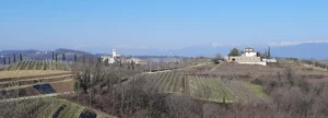 Casa delle Rose
