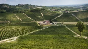 Cascina Vengore