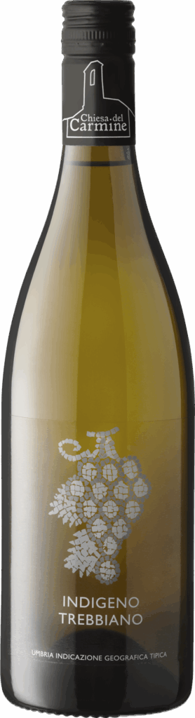 Umbria IGT Trebbiano Spoletino 2022