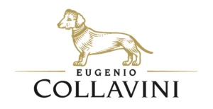 Collavini