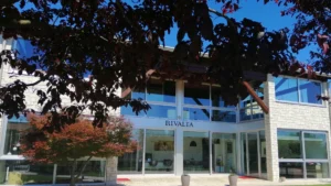 Dea Rivalta