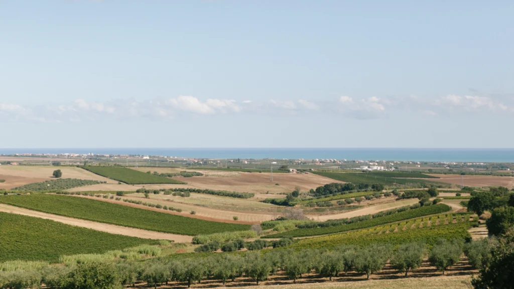 Di Majo Norante