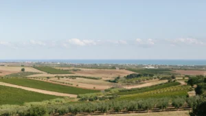 Di Majo Norante