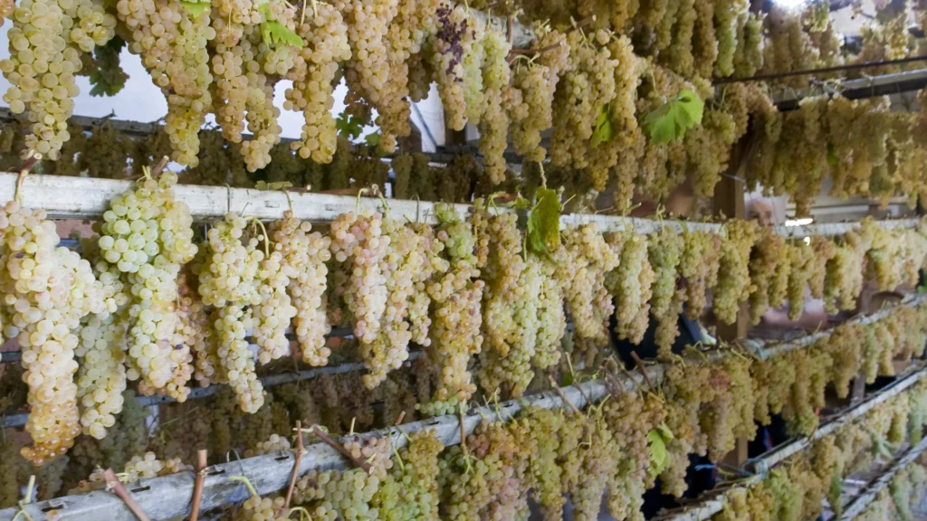 Fattoria Ambra