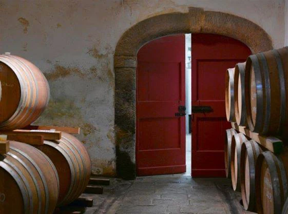 Fattoria di Bacchereto