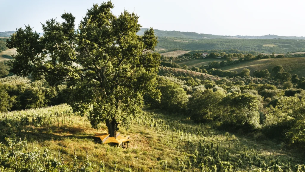 Fattoria La Maliosa