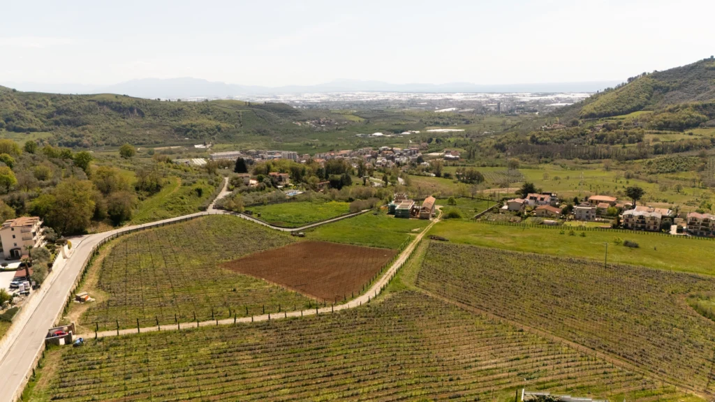 Feudi Crocifissi