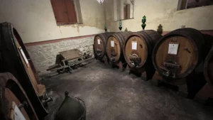Fongoli