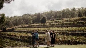 Gambino Vini