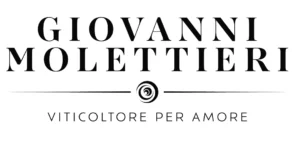 Giovanni Molettieri