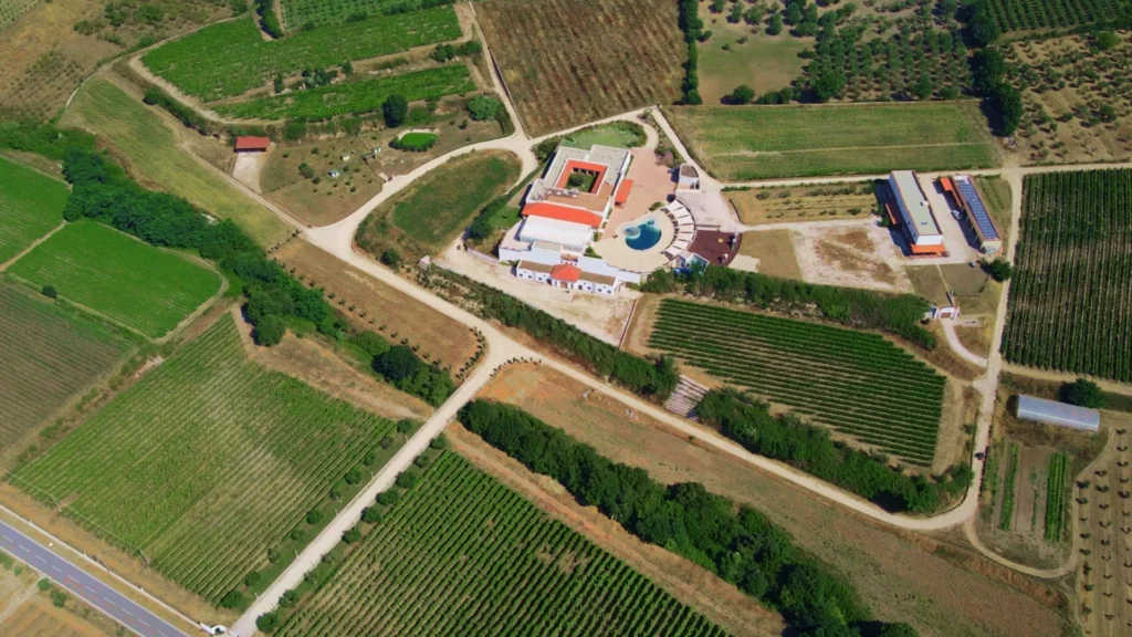 La Masseria di Sessa