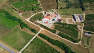 La Masseria di Sessa