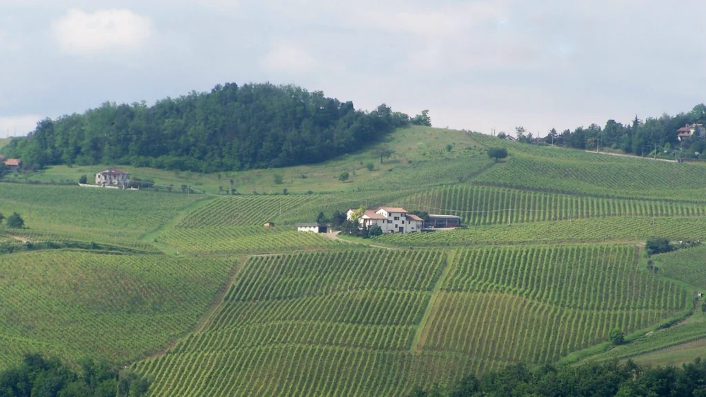 La Piotta