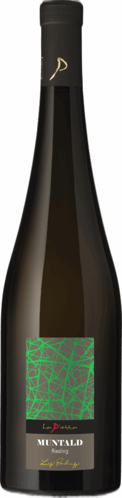 Oltrepò Pavese DOC Riesling “Luigi Padroggi” 2022