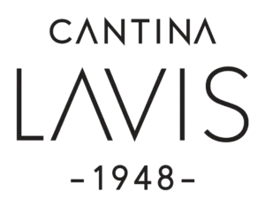 La Vis