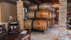 Le Due Torri