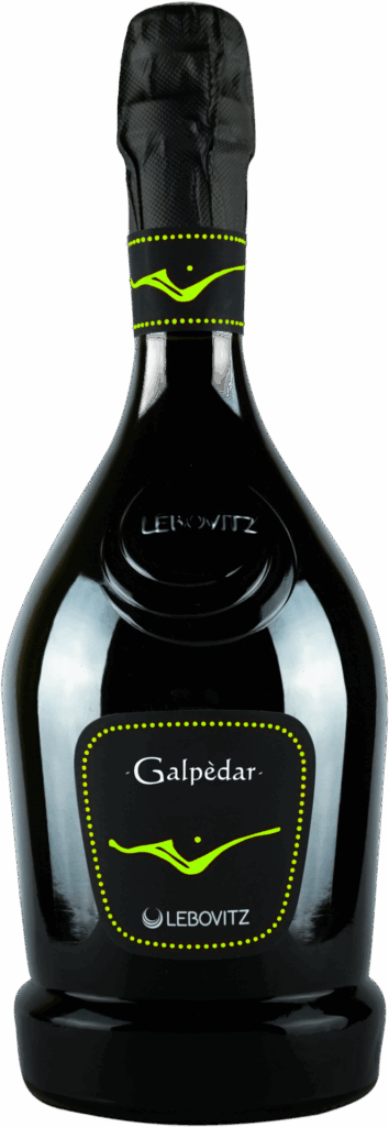 Lambrusco Mantovano DOC Frizzante Abboccato “Galpèdar”