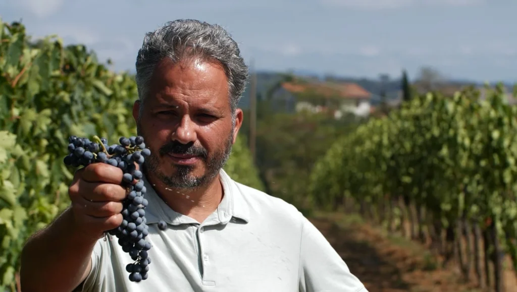 Luteraia