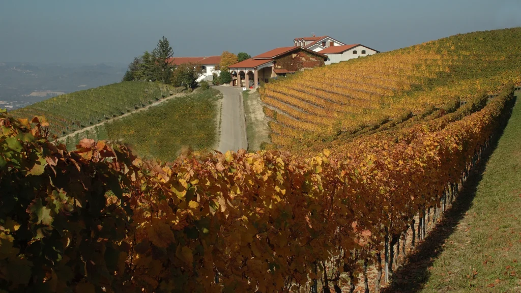 Mario Rivetti Cascina Serre