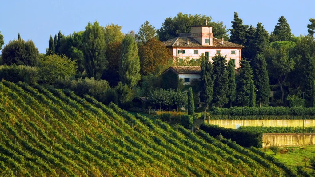 Marotti Campi