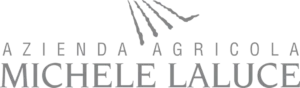Michele Laluce