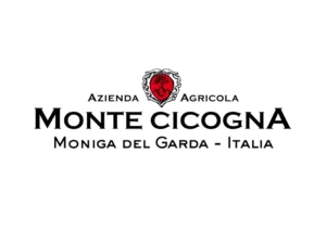 Monte Cicogna