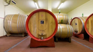Montemercurio