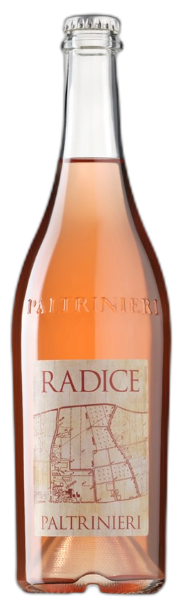 Lambrusco di Sorbara DOC Frizzante Secco “Radice”