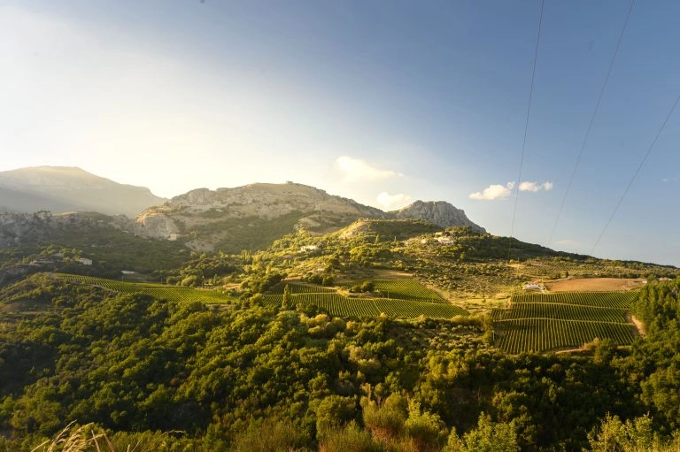 Pasetti Vini