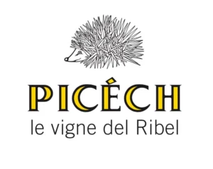 Picech